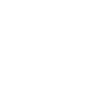 audit icon