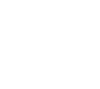 budget icon